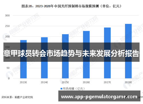 意甲球员转会市场趋势与未来发展分析报告