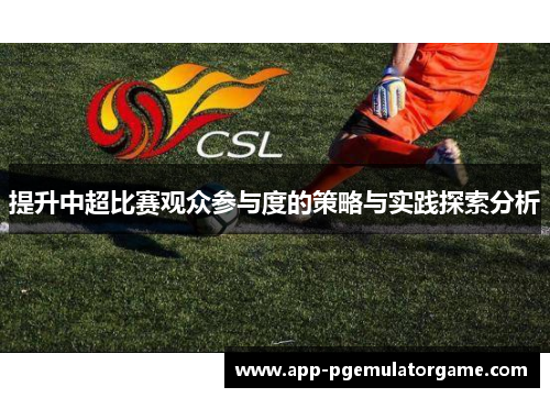 提升中超比赛观众参与度的策略与实践探索分析
