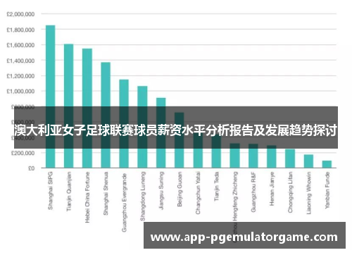 澳大利亚女子足球联赛球员薪资水平分析报告及发展趋势探讨