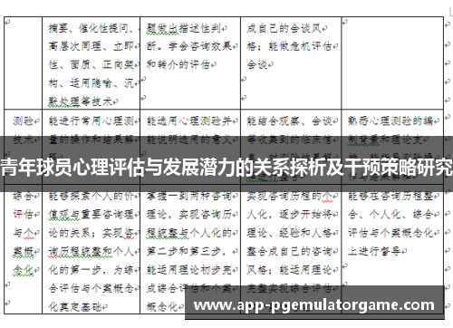 青年球员心理评估与发展潜力的关系探析及干预策略研究