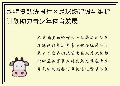 坎特资助法国社区足球场建设与维护计划助力青少年体育发展