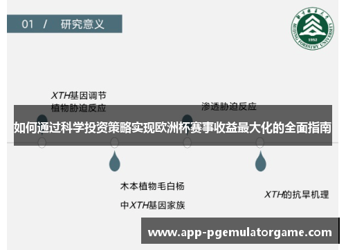 如何通过科学投资策略实现欧洲杯赛事收益最大化的全面指南