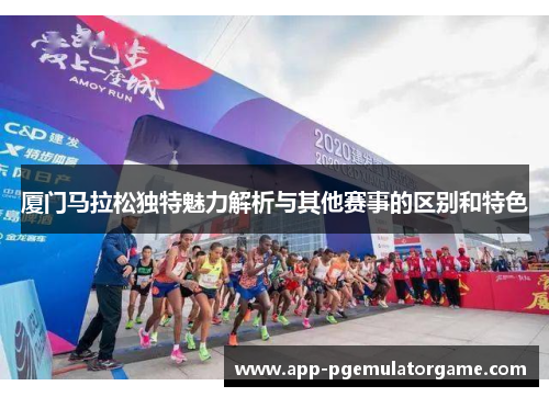 厦门马拉松独特魅力解析与其他赛事的区别和特色