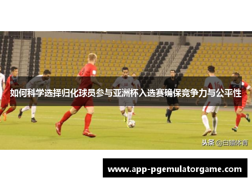 如何科学选择归化球员参与亚洲杯入选赛确保竞争力与公平性
