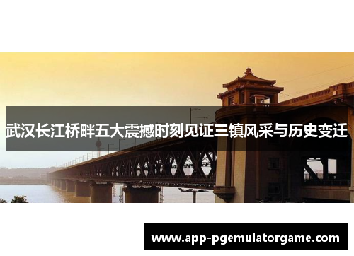 武汉长江桥畔五大震撼时刻见证三镇风采与历史变迁
