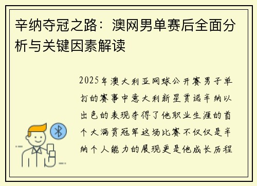 辛纳夺冠之路：澳网男单赛后全面分析与关键因素解读