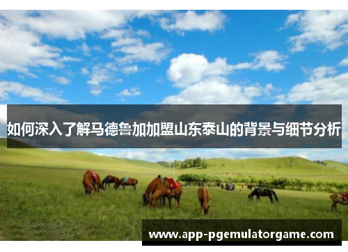 如何深入了解马德鲁加加盟山东泰山的背景与细节分析