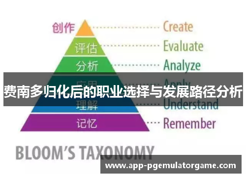 费南多归化后的职业选择与发展路径分析