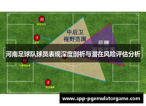 河南足球队球员表现深度剖析与潜在风险评估分析