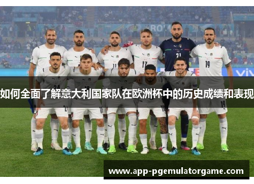 如何全面了解意大利国家队在欧洲杯中的历史成绩和表现