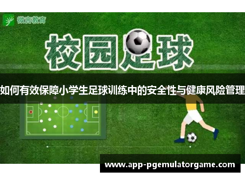 如何有效保障小学生足球训练中的安全性与健康风险管理