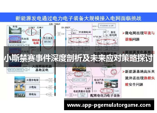 小斯禁赛事件深度剖析及未来应对策略探讨