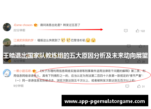 王皓退出国家队教练组的五大原因分析及未来动向展望
