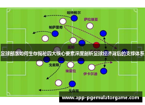 足球部落如何生存揭秘四大核心要素深度剖析足球经济背后的支撑体系