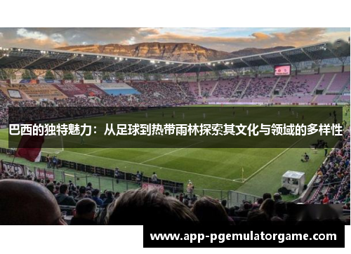 巴西的独特魅力：从足球到热带雨林探索其文化与领域的多样性