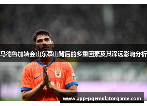马德鲁加转会山东泰山背后的多重因素及其深远影响分析