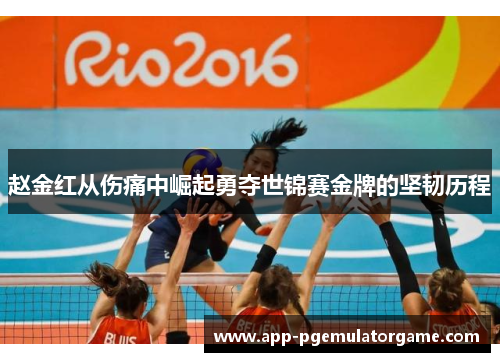赵金红从伤痛中崛起勇夺世锦赛金牌的坚韧历程