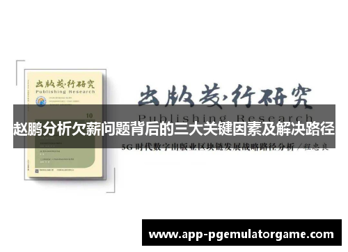 赵鹏分析欠薪问题背后的三大关键因素及解决路径