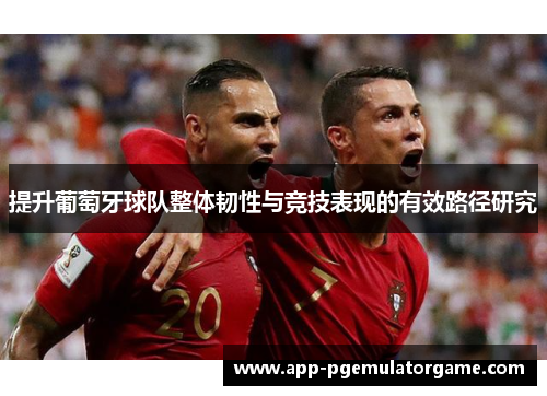 提升葡萄牙球队整体韧性与竞技表现的有效路径研究