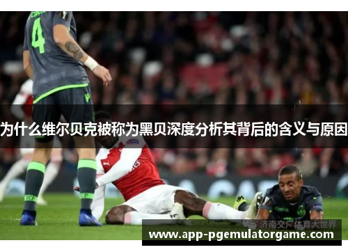 为什么维尔贝克被称为黑贝深度分析其背后的含义与原因