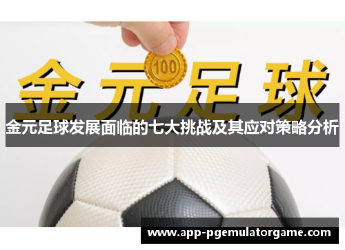 金元足球发展面临的七大挑战及其应对策略分析