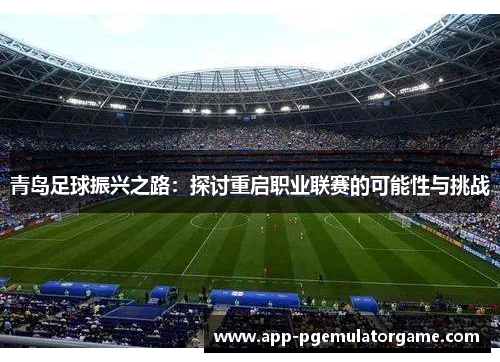 青岛足球振兴之路：探讨重启职业联赛的可能性与挑战