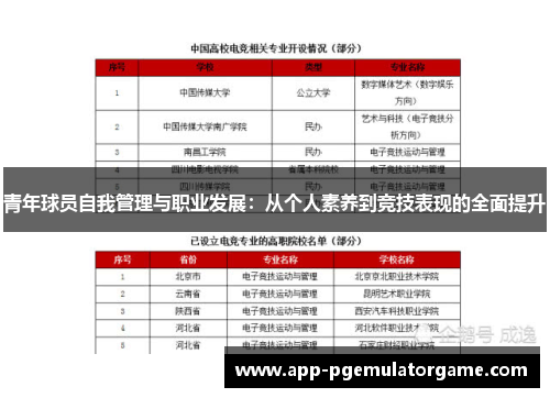 青年球员自我管理与职业发展：从个人素养到竞技表现的全面提升