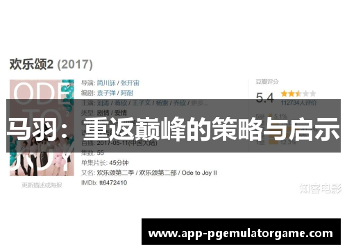 马羽：重返巅峰的策略与启示