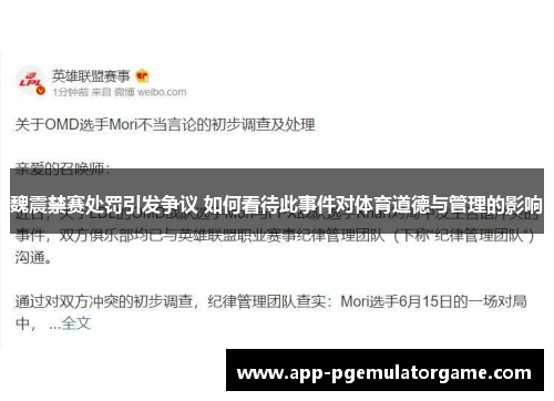 魏震禁赛处罚引发争议 如何看待此事件对体育道德与管理的影响