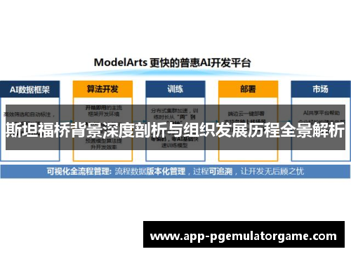 斯坦福桥背景深度剖析与组织发展历程全景解析