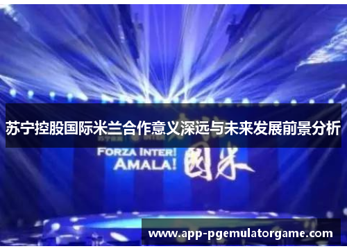 苏宁控股国际米兰合作意义深远与未来发展前景分析