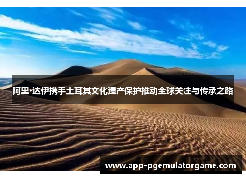阿里·达伊携手土耳其文化遗产保护推动全球关注与传承之路