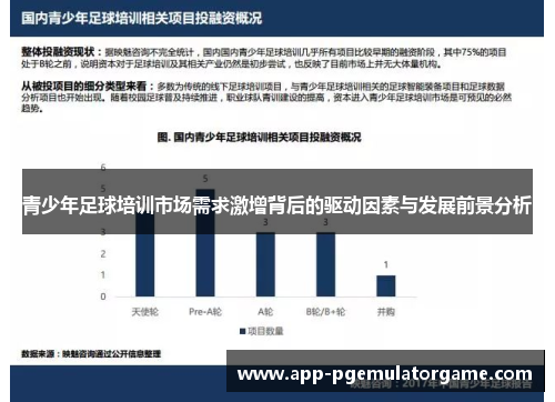 青少年足球培训市场需求激增背后的驱动因素与发展前景分析